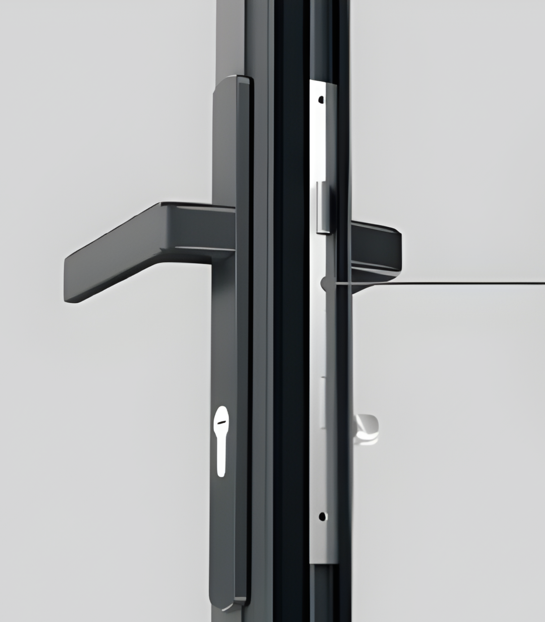 VLX 100 Swing / Entry Door in Santa Clarita, CA | Lightwell Windows Santa Clarita - detail 5